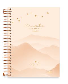 CADERNO CD ABA PAI 15X1 240F 0119005