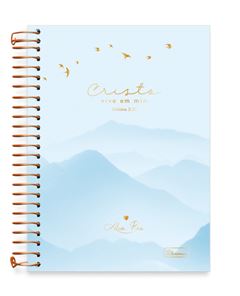 CADERNO CD ABA PAI 15X1 240F 0119005