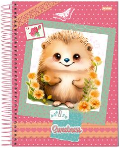 CADERNO CD SWEETNESS 10X1 160F 68907
