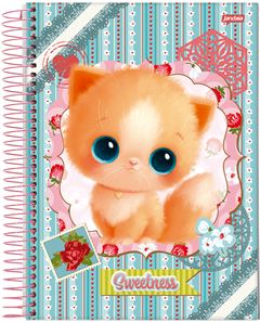 CADERNO CD SWEETNESS 10X1 160F 68907