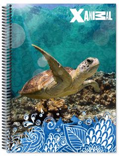 CADERNO CD X-ANIMAL 1X1 80F 6212