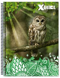 CADERNO CD X-ANIMAL 1X1 80F 6212