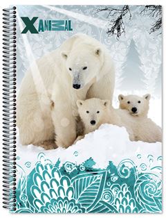 CADERNO CD X-ANIMAL 1X1 80F 6212