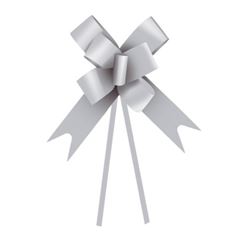 LACO LISO 12MM 10P PRATA 1230036