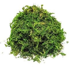 Musgo Tingido 50g Vd 48010