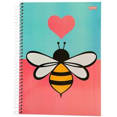 CADERNO CD AMOR MASK 15X1 240F 75680