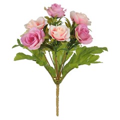 BQ ROSA 27CM X6 OUT 36140010