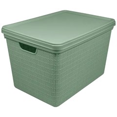 Caixa Org Jaguar Juta 22l C\T Vdem 3268