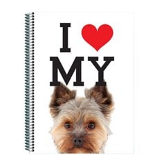 CADERNO CD DOGS 1X1 80F 7510