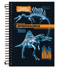 Caderno 1/4 Planeta Dino 80f 0331001