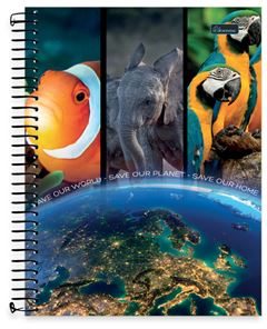 CADERNO CD BLISS MISTO 1X1 96F 0202002