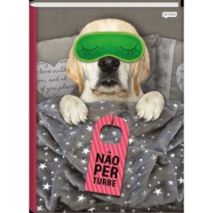 CADERNO BROC UNIV CD PET 80F 68883-77