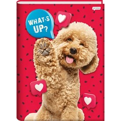 CADERNO BROC UNIV CD PET 80F 68883-77