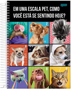 CADERNO CD UNIV PET 10X1 160F 68886-77
