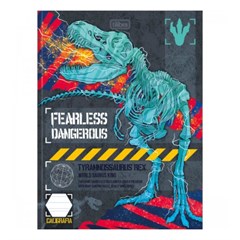 CADERNO BROCH CD CALIG 40F RAPTOR 350397