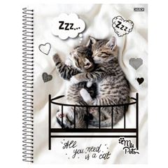 CADERNO CD MY PETS 15X1 240F 10190