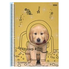 CADERNO CD MY PETS 10X1 160F 10189