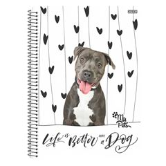 CADERNO CD MY PETS 10X1 160F 10189
