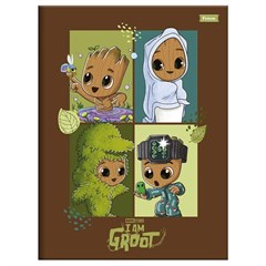 CADERNO BROCHURAO GROOT 80F 9336