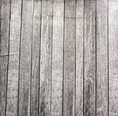 PAPEL PAREDE MNT. MAD CB4002