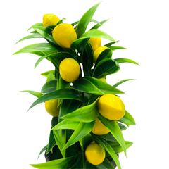 Vaso C/Flor 26470