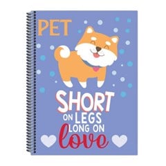CADERNO CD PET 12X1 168F 8426