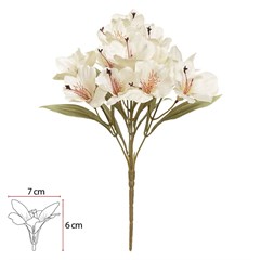 BQ ASTROMELIA 34CM X15 CREME 42850022