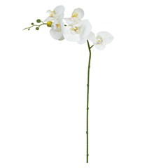HA ORQUIDEA 65CM X5 BCO/AM 53598001