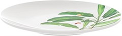 PRATO TR SOBM GRAZ 19CM 96011/506