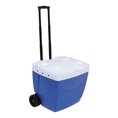 CAIXA TERMICA MOR 42L AZ 25108221