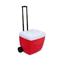 CAIXA TERMICA MOR 42L VM 25108222
