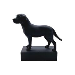 CACHORRO 26904