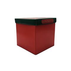CX CUBO 15X15X15 13004322