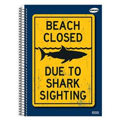 CADERNO 1/4 CD ESP KBOM 10334