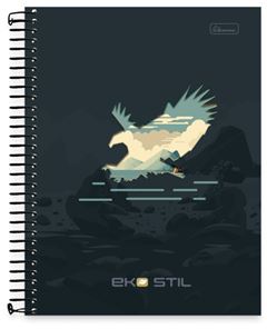 CADERNO CD UNIV EKO STIL 10X1 160F 0843002