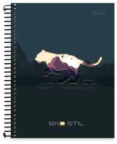 CADERNO CD UNIV EKO STIL 10X1 160F 0843002
