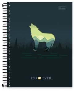 CADERNO CD UNIV EKO STIL 15X1 240F 0843003