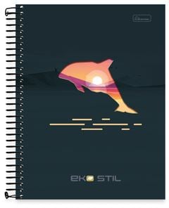 CADERNO CD UNIV EKO STIL 15X1 240F 0843003