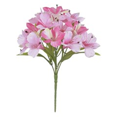 BQ ASTROMELIA 34CM X15 RS 42850008