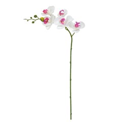 HA ORQUIDEA 65CM X5 BCO 53598003