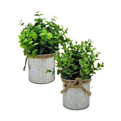 VASO C/PLANTA CB3563