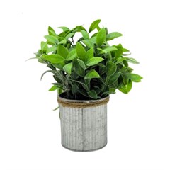 VASO C/PLANTA CB3563