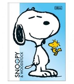 CADERNO BROCH COL SNOOPY 160F 384071