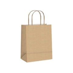 SACOLA PAP PP KRAFT 19000733