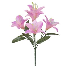 BQ LIRIO 31CM X5 RS CL 35080009