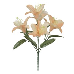 BQ LIRIO 31CM X5 SALM 35080012