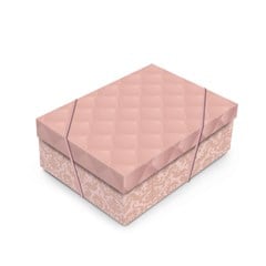 CX RET T 35X25X11 LUXURIA 13003968