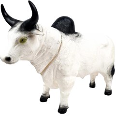 TOUROS DIVERSOS CINTA 481