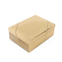 CX RET C/TAMPA OURO G 13006843 FL