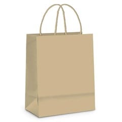 SACOLA PAP 32X26,5 CLUB 14002123